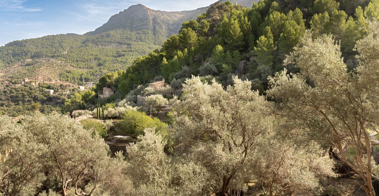 Finca-Deia