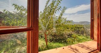 von_poll_real_estate_property_ES223743973_image_11