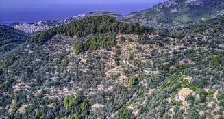 von_poll_real_estate_property_ES223743973_image_21