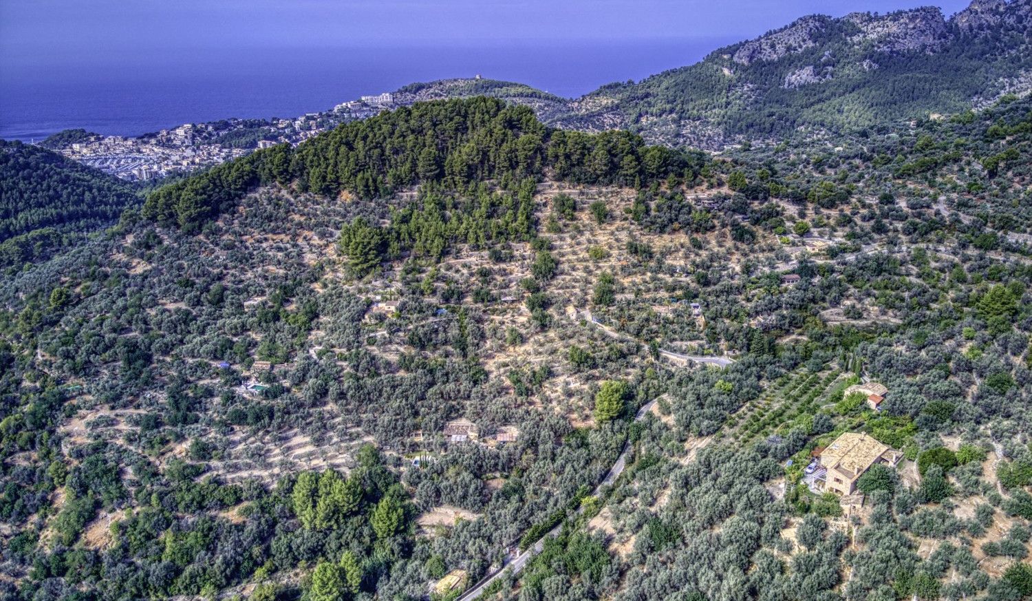 Finca-Soller