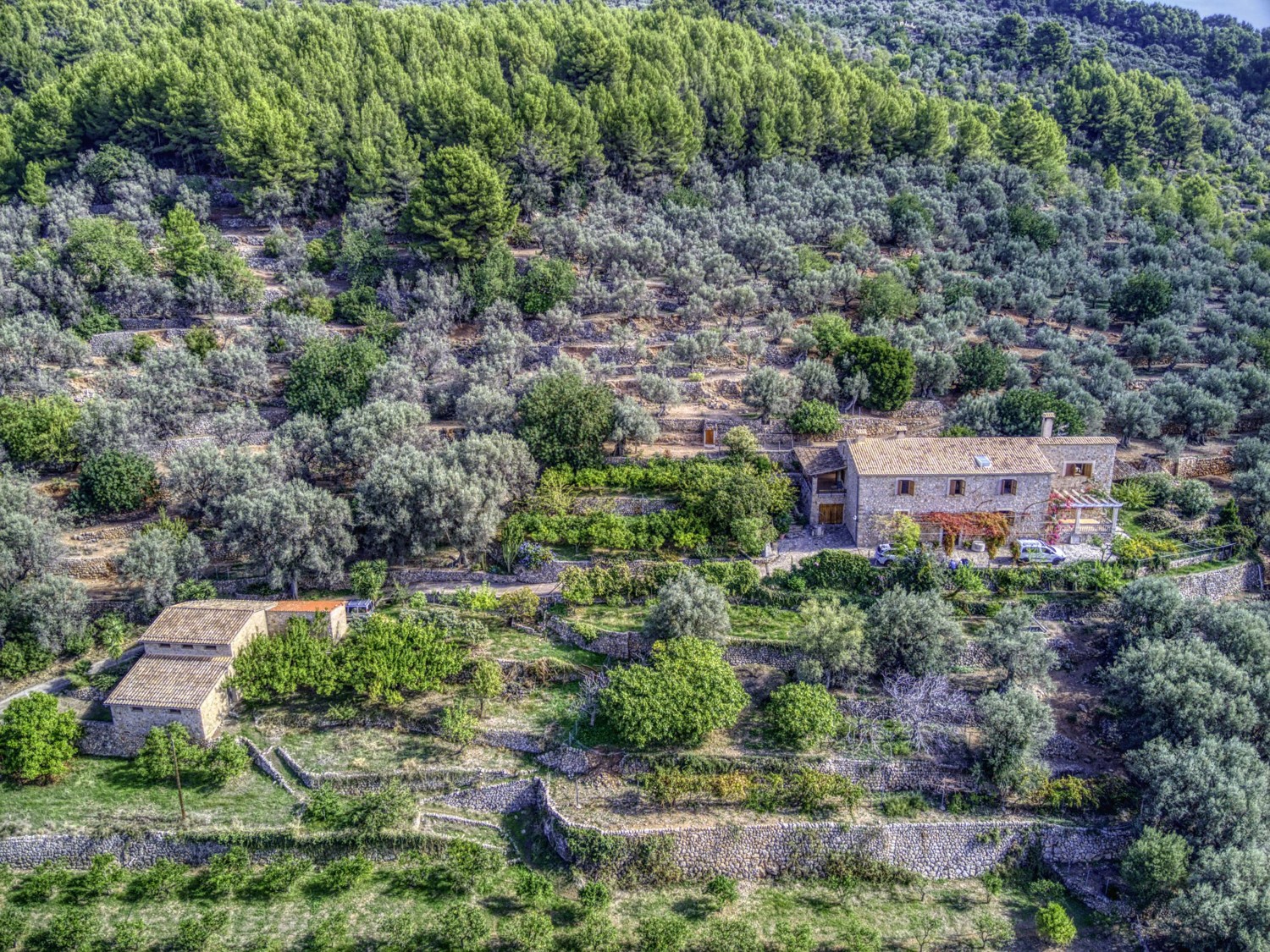Finca-Soller