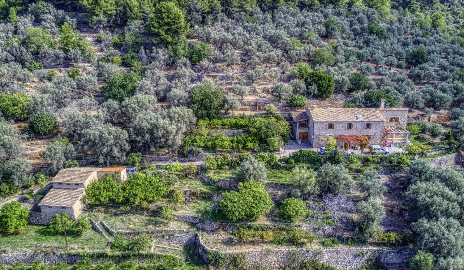 Finca-Soller