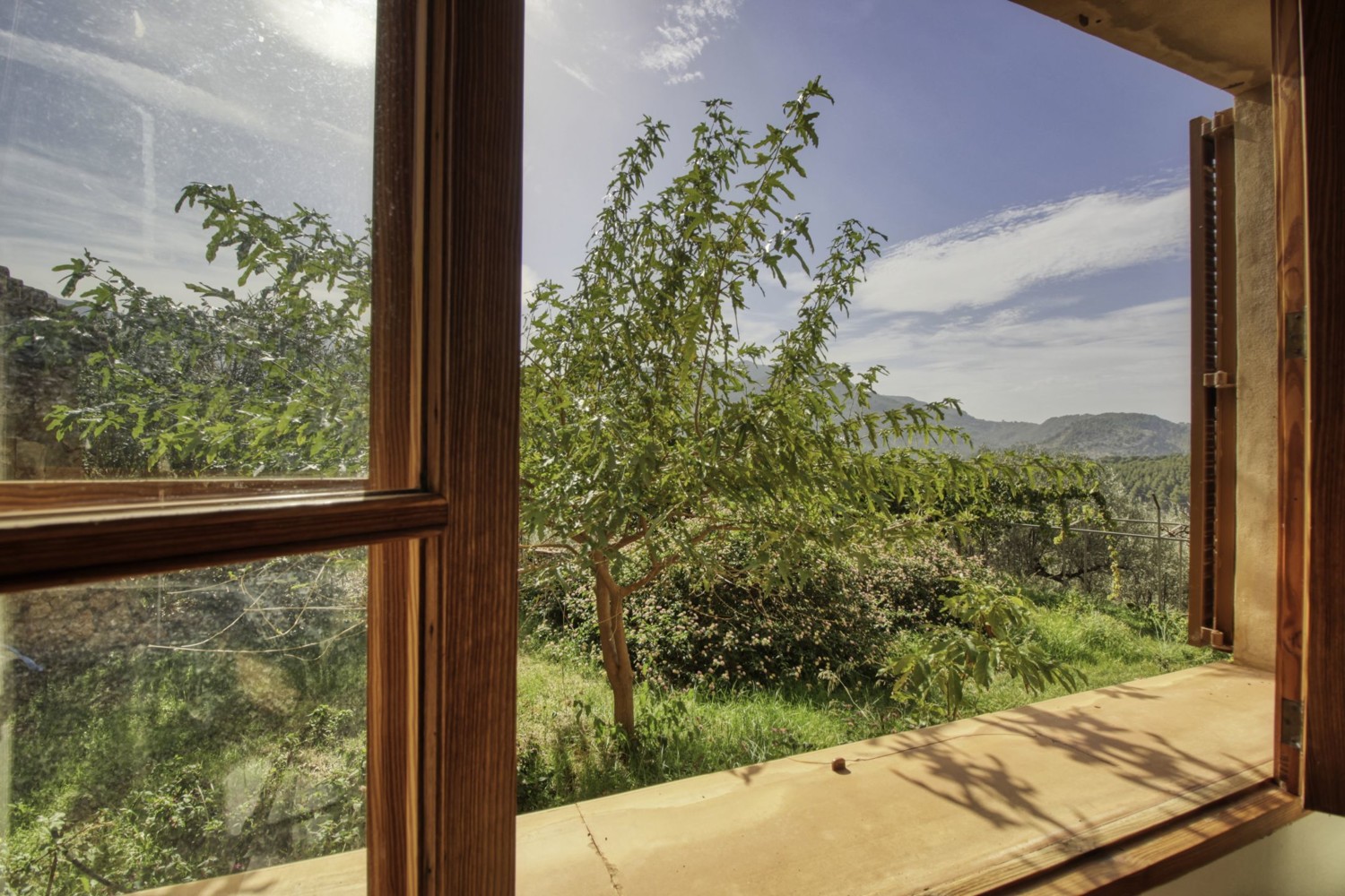 Finca-Soller