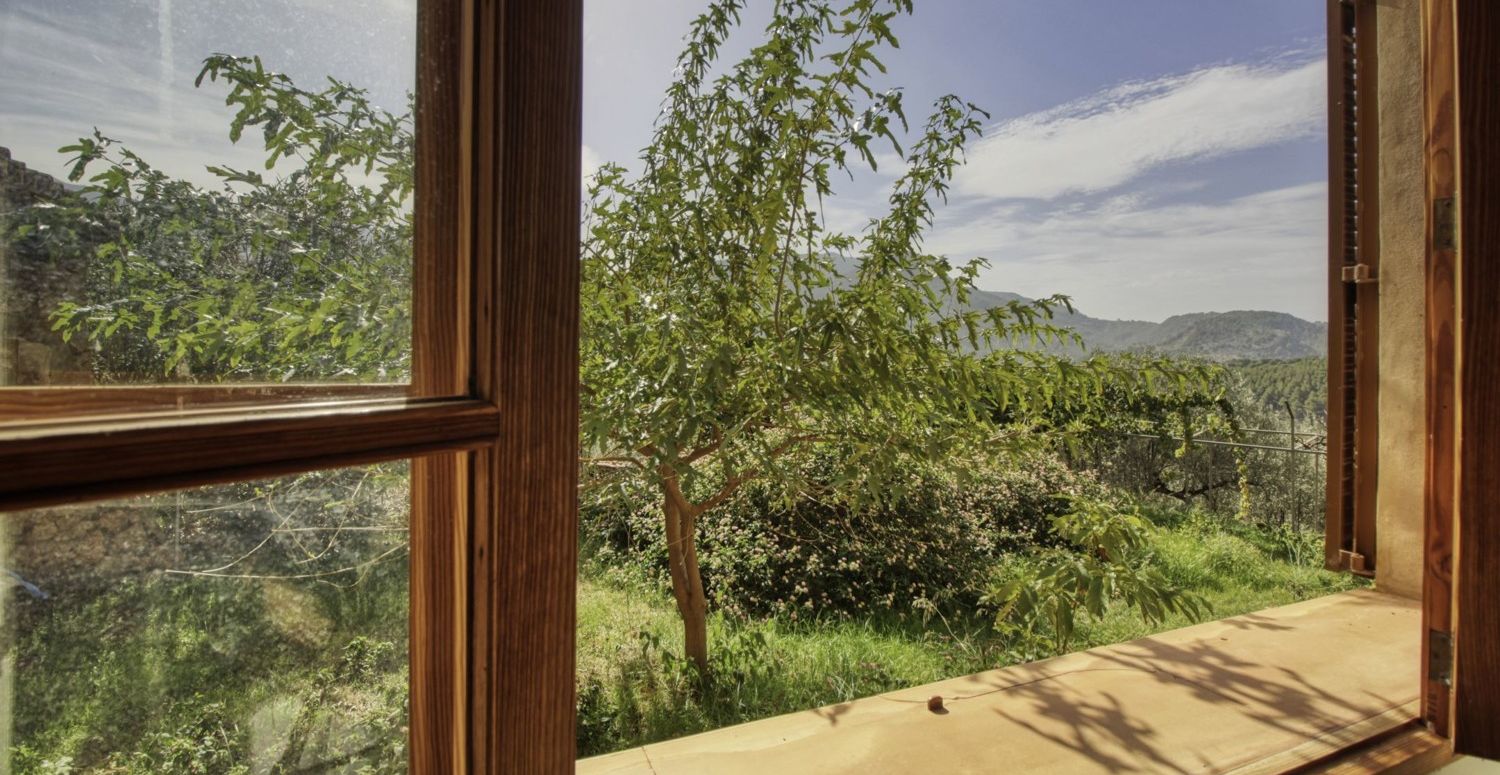 Finca-Soller