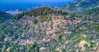 von_poll_real_estate_property_ES223743973_image_3