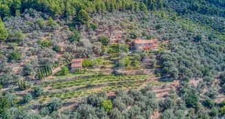 von_poll_real_estate_property_ES223743973_image_42
