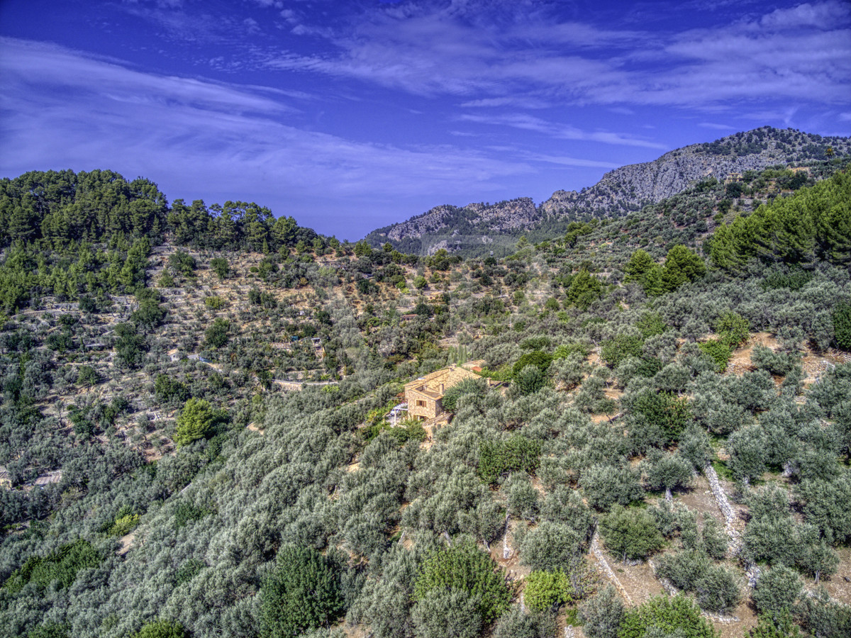 Spektakuläre-Finca-von-fast-8-Hektar-mit-renoviertem-Haus-aus-dem-19.-Jahrhundert-in-Soller