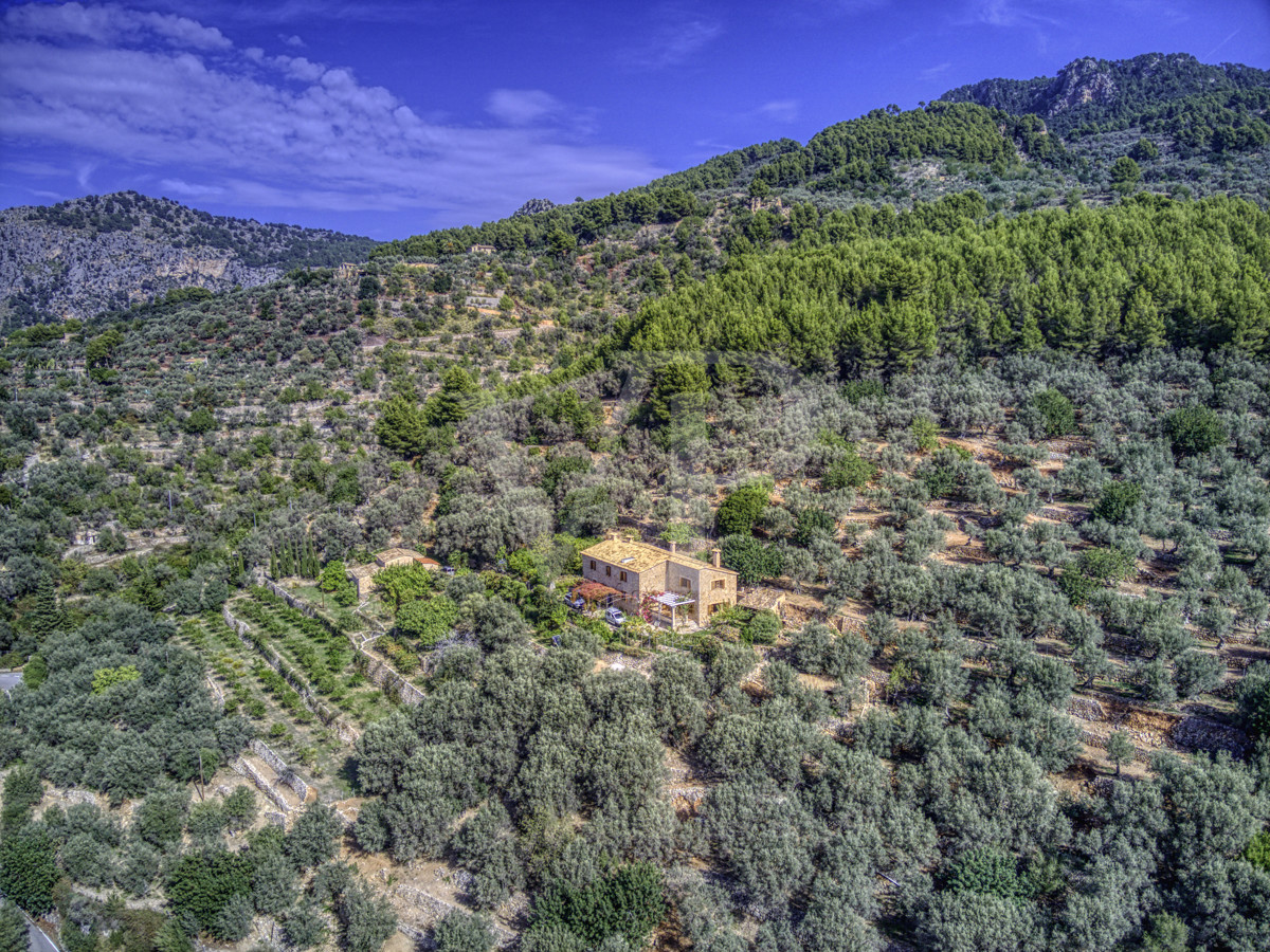Spektakuläre-Finca-von-fast-8-Hektar-mit-renoviertem-Haus-aus-dem-19.-Jahrhundert-in-Soller