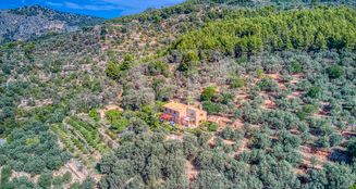 von_poll_real_estate_property_ES223743973_image_15