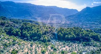 von_poll_real_estate_property_ES223743973_image_48