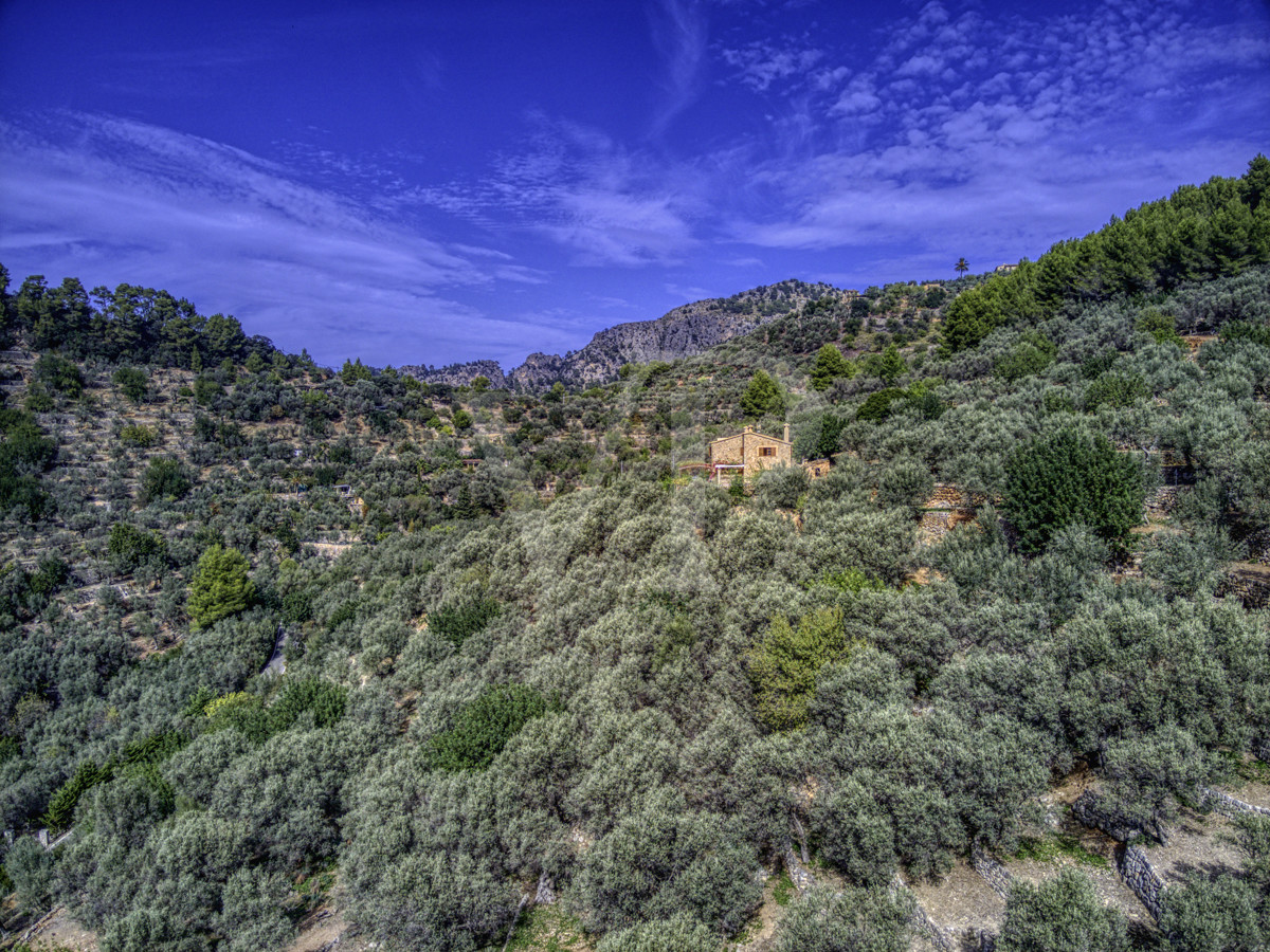 Spektakuläre-Finca-von-fast-8-Hektar-mit-renoviertem-Haus-aus-dem-19.-Jahrhundert-in-Soller