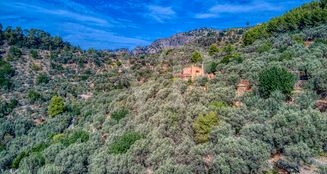 von_poll_real_estate_property_ES223743973_image_46