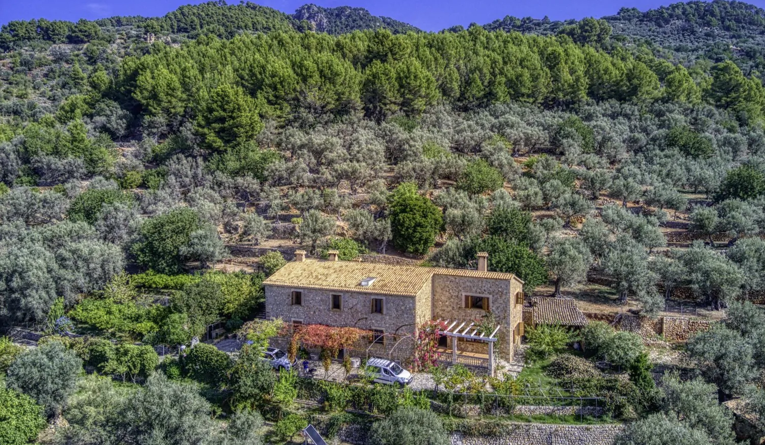 Finca-Soller