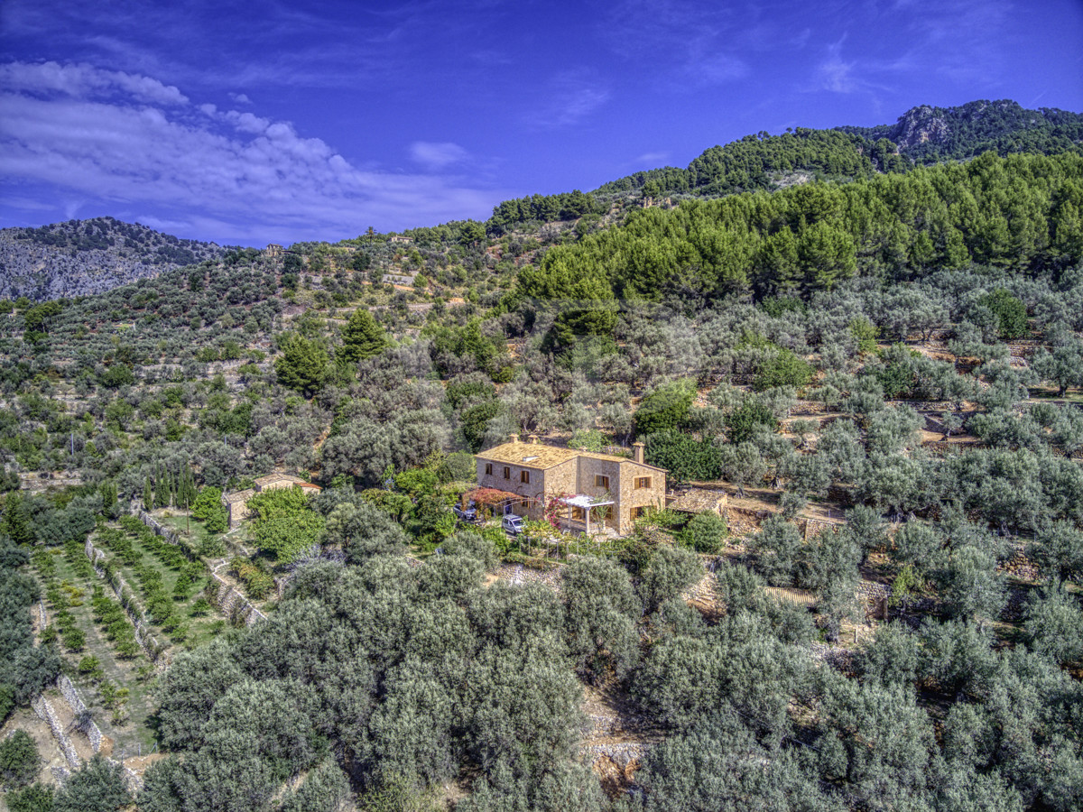 Spektakuläre-Finca-von-fast-8-Hektar-mit-renoviertem-Haus-aus-dem-19.-Jahrhundert-in-Soller
