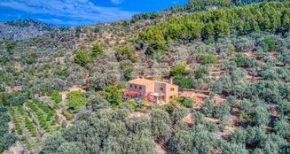 von_poll_real_estate_property_ES223743973_image_1