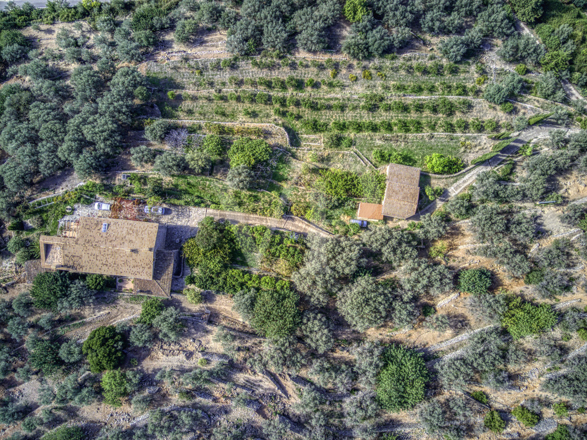 Spektakuläre-Finca-von-fast-8-Hektar-mit-renoviertem-Haus-aus-dem-19.-Jahrhundert-in-Soller