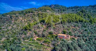 von_poll_real_estate_property_ES223743973_image_0