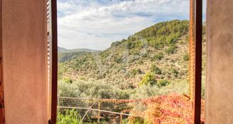 von_poll_real_estate_property_ES223743973_image_27