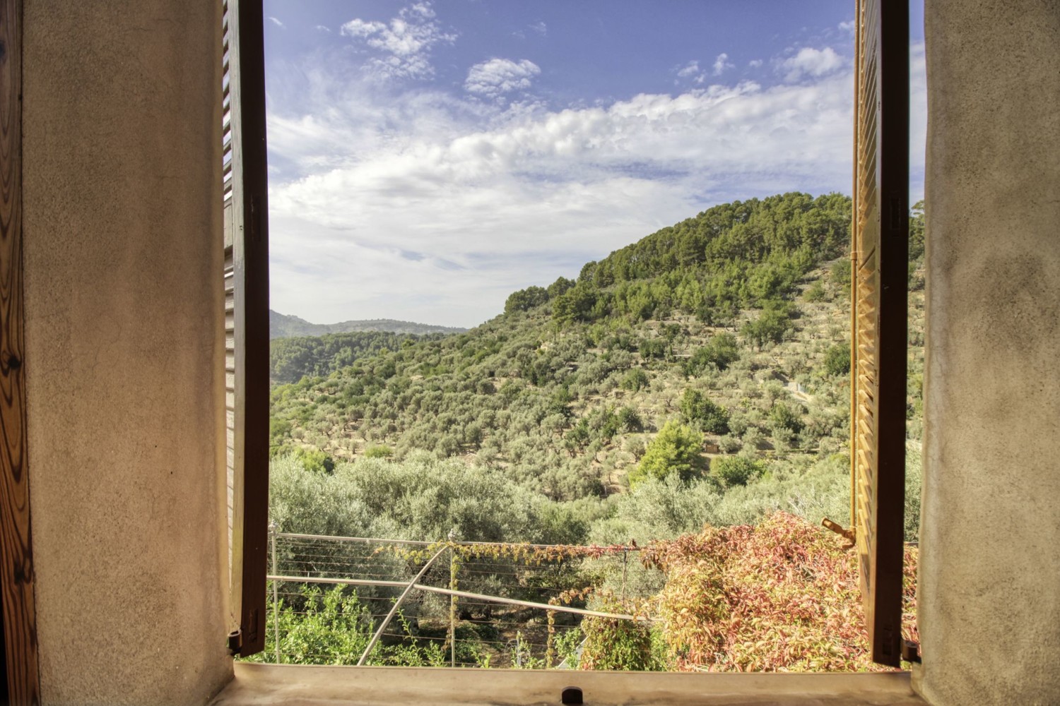 Finca-Soller