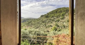 von_poll_real_estate_property_ES223743973_image_14