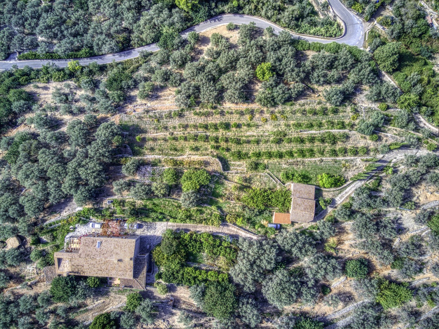 Finca-Soller