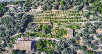 von_poll_real_estate_property_ES223743973_image_22