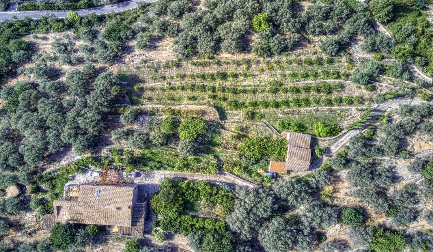 Finca-Soller