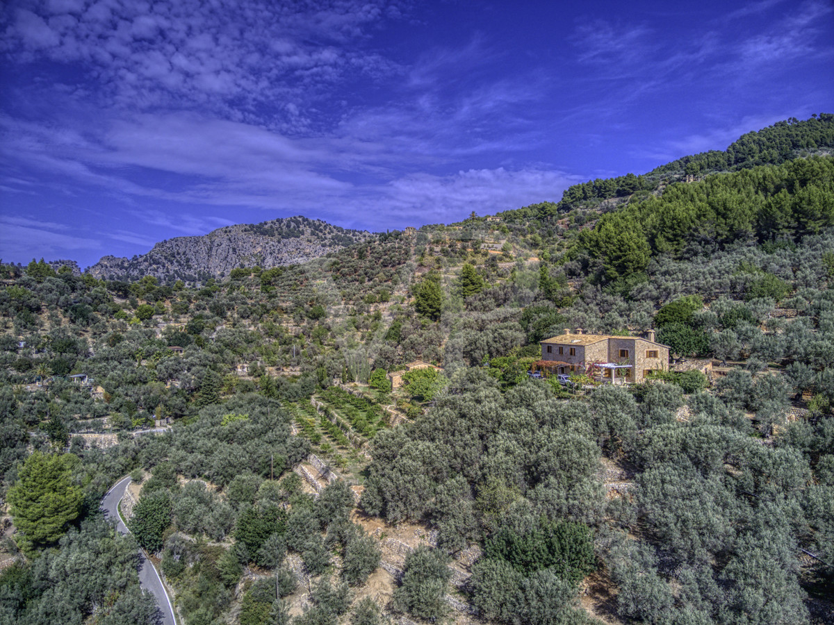 Spektakuläre-Finca-von-fast-8-Hektar-mit-renoviertem-Haus-aus-dem-19.-Jahrhundert-in-Soller