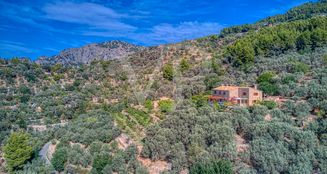 von_poll_real_estate_property_ES223743973_image_45