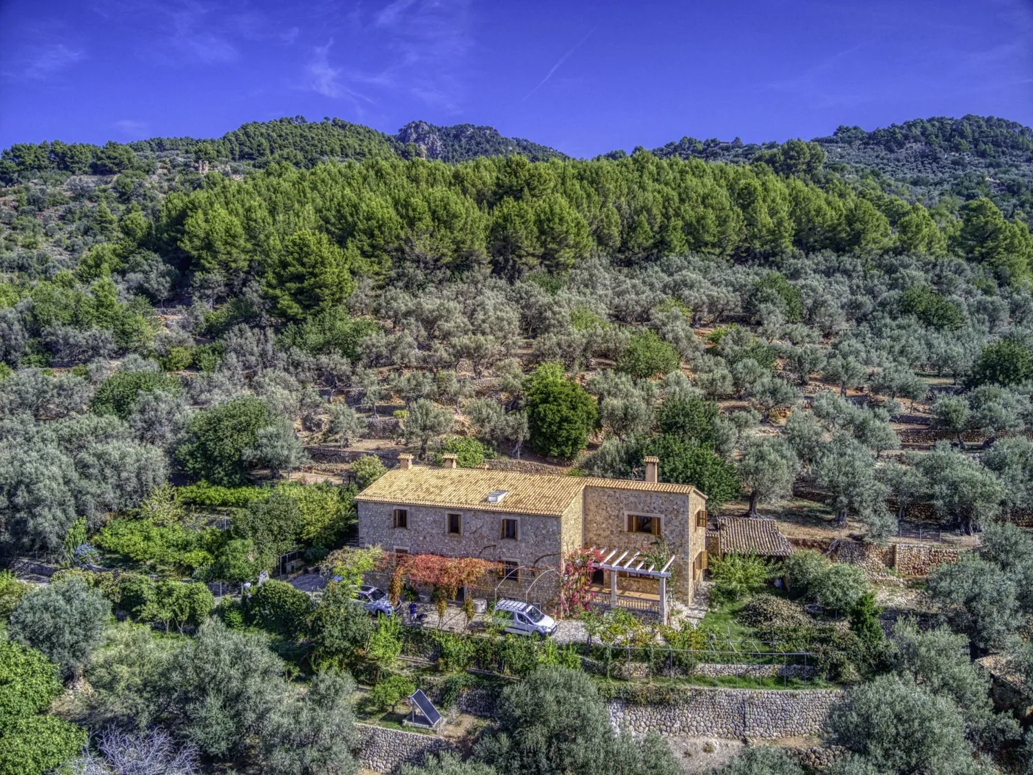 Finca-Soller