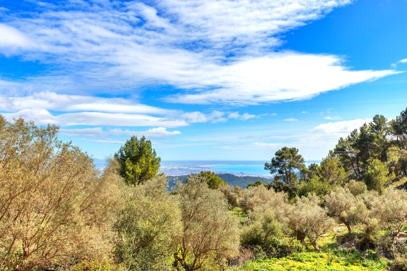 Finca-einzigartig-zu-verkaufen-in-Mallorca