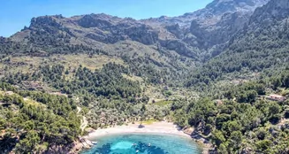 von_poll_real_estate_property_ES233744066_image_5