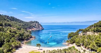 von_poll_real_estate_property_ES233744066_image_3