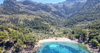 von_poll_real_estate_property_ES233744066_image_7