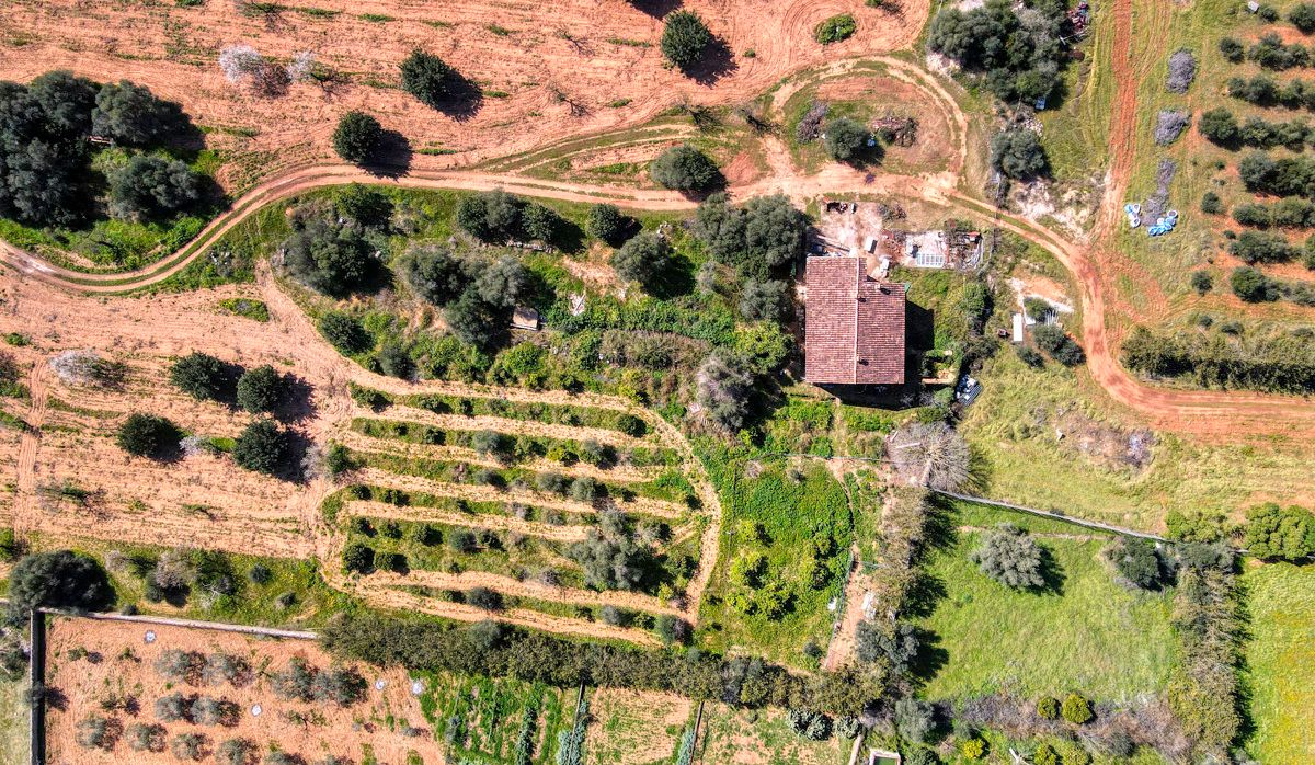 FINCA-CONSELL