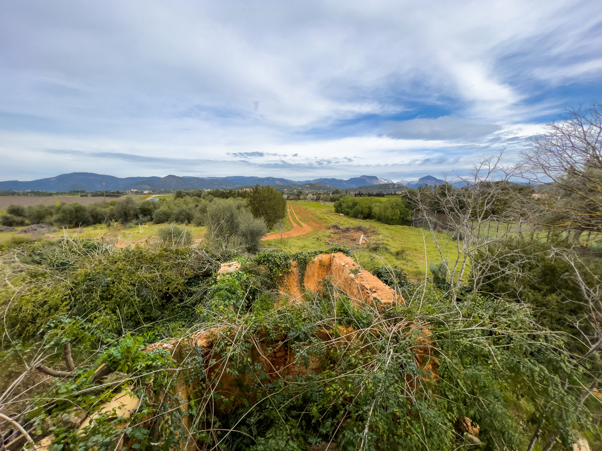 FINCA-CONSELL (17)