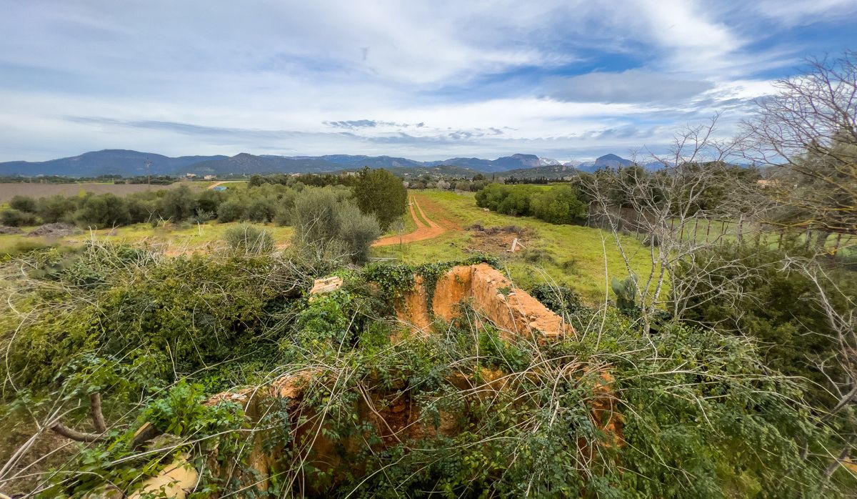 FINCA-CONSELL