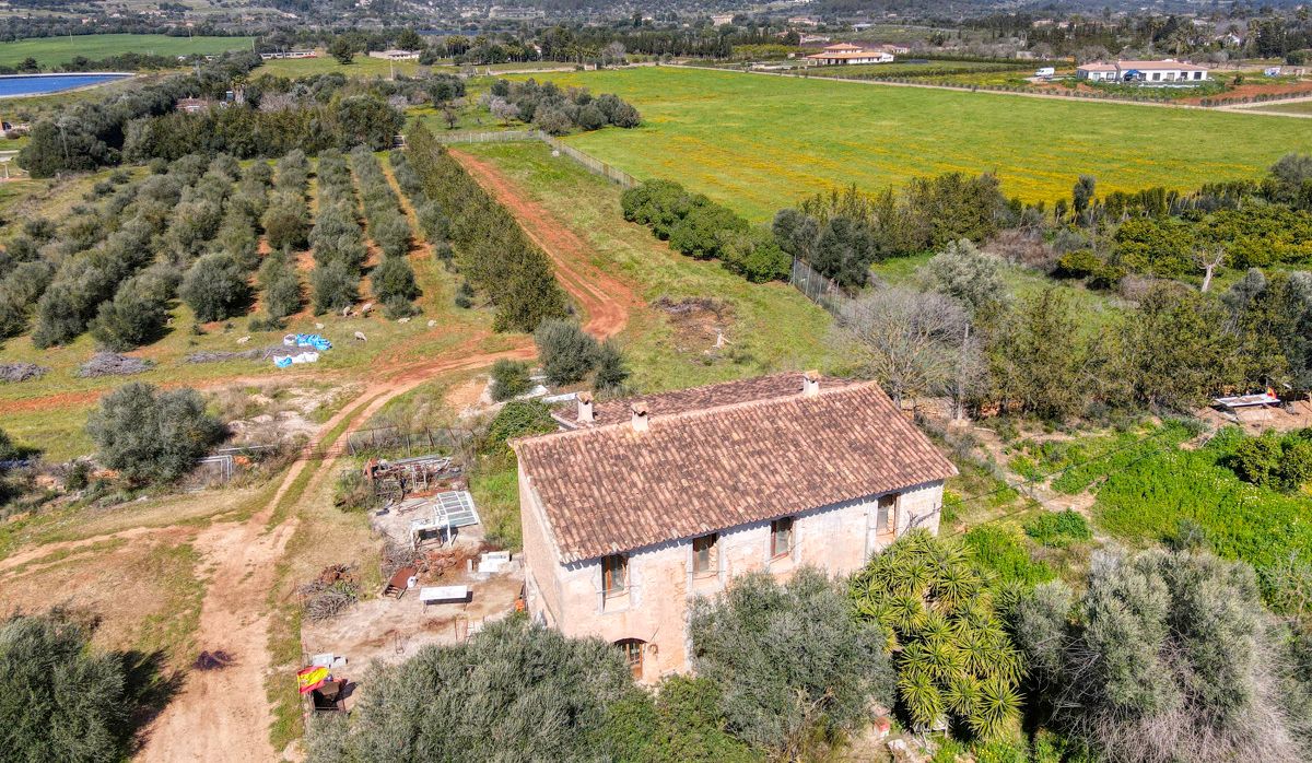 FINCA-CONSELL
