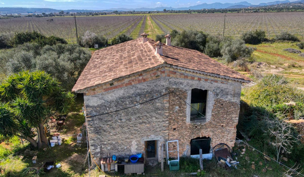 FINCA-CONSELL