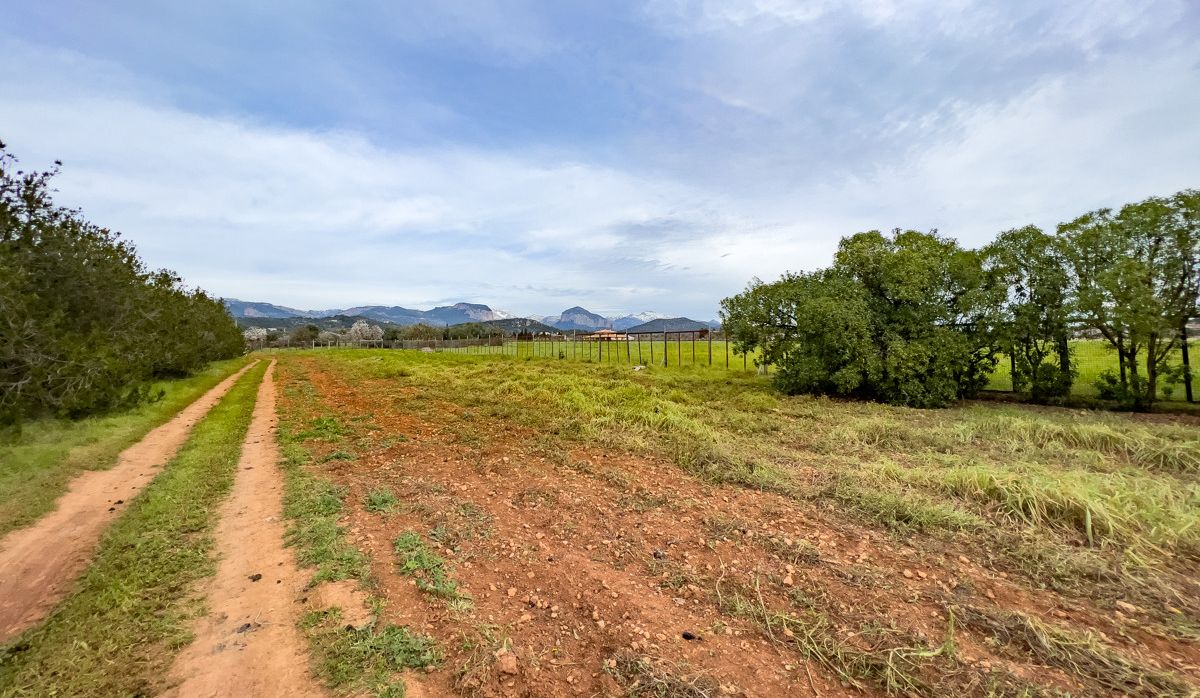 FINCA-CONSELL