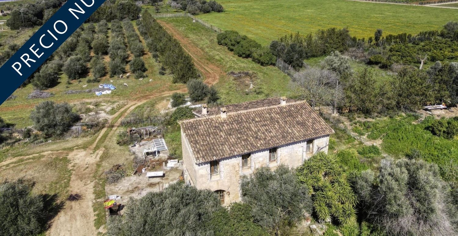 FINCA-CONSELL