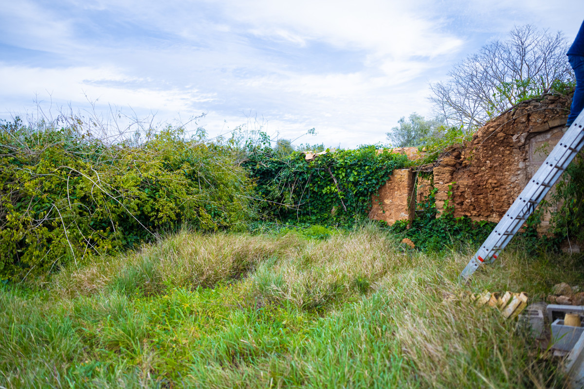 FINCA-CONSELL (32)