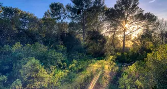 von_poll_real_estate_property_ES233744226_image_11