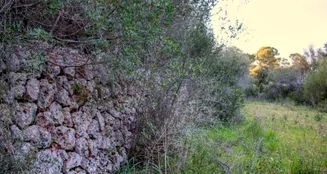 von_poll_real_estate_property_ES233744226_image_13