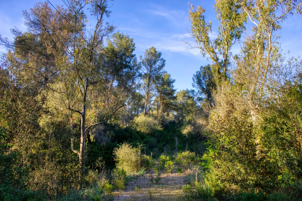 Mediterranean nature