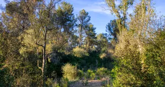 von_poll_real_estate_property_ES233744226_image_5