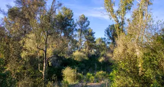 von_poll_real_estate_property_ES233744226_image_5