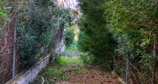 von_poll_real_estate_property_ES233744226_image_2