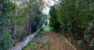 von_poll_real_estate_property_ES233744226_image_1
