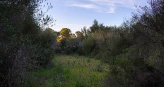 von_poll_real_estate_property_ES233744226_image_6